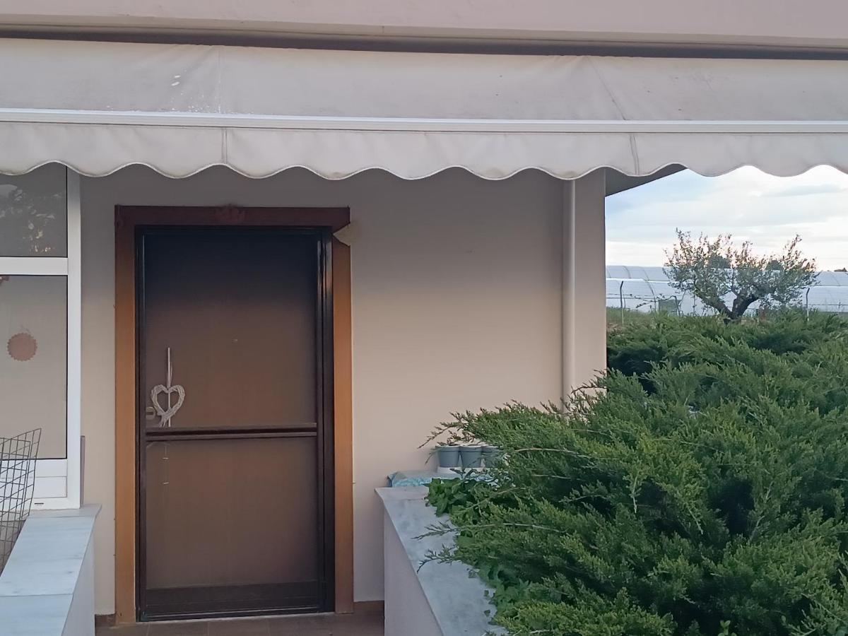 尼亚米卡尼奥纳The Secret Olive House别墅 外观 照片