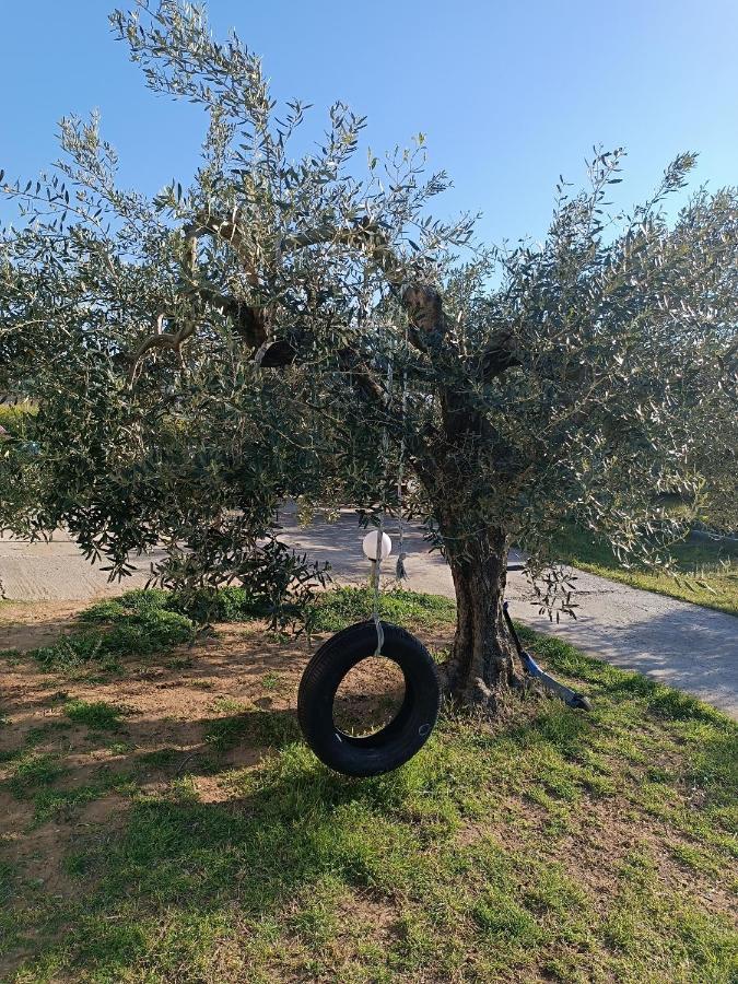 尼亚米卡尼奥纳The Secret Olive House别墅 外观 照片
